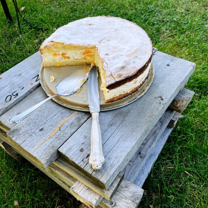 Eine Käsesahnetorte auf einem Holzstapel im Garten