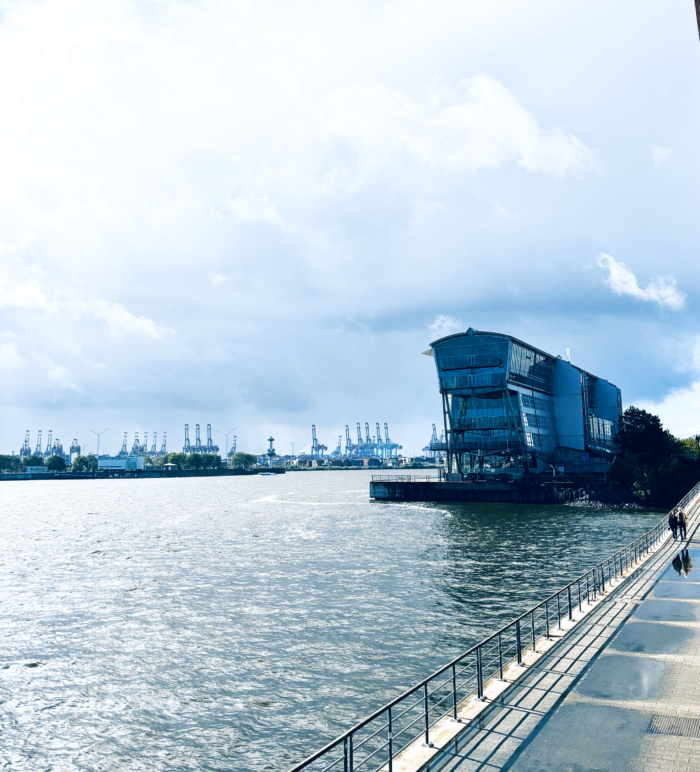 Die Elbe unter grauem Himmel, am Bildrand das Kreuzfahrtterminal