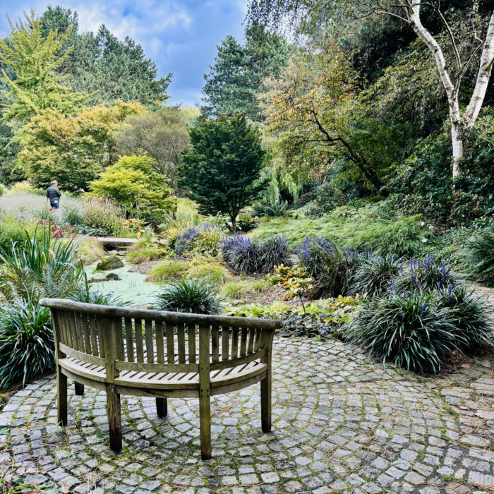 Eine leere Bank im Loki-Schmidt-Garten vor allmählich dezent herbstlich aussehender Umgebung