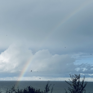 Ein Regenbogen vor grauem Himmel über der Ostsee vor Steinberghaff