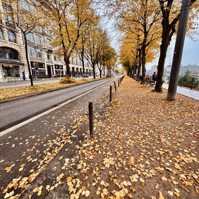 Der Fußweg an der Binnenalster, Ballindamm, mit Herbstlaub bedeckt