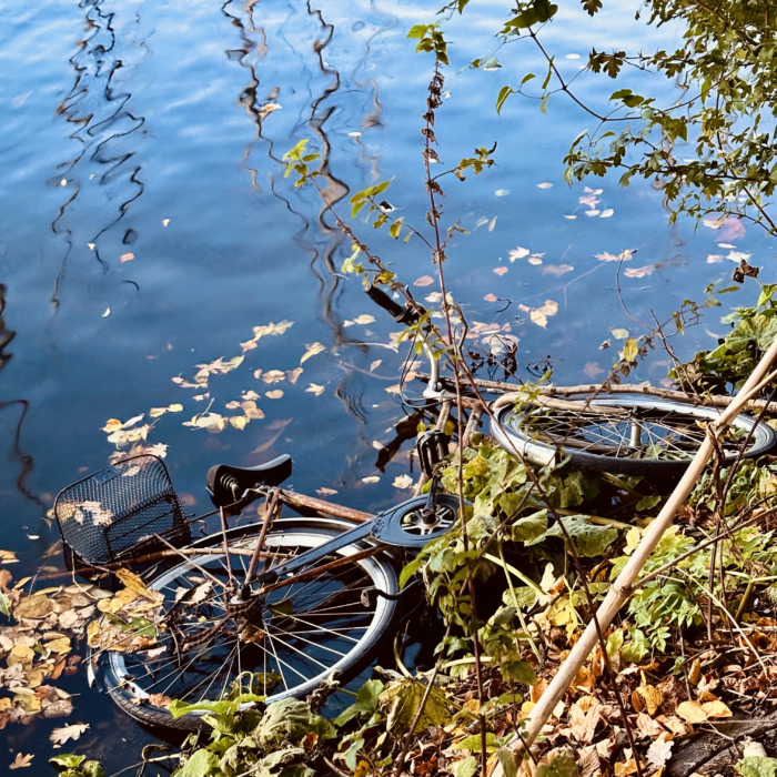 Ein Fahrrad liegt am Ufer in der Alster