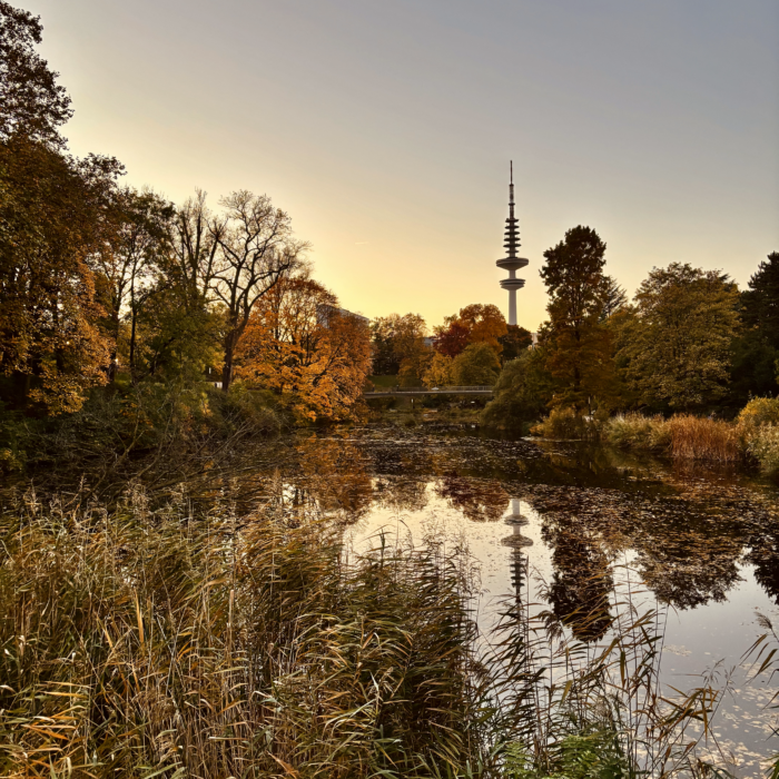 Blick durch herbstliche Parkanlagen auf den Fernehturm am frühen Abend