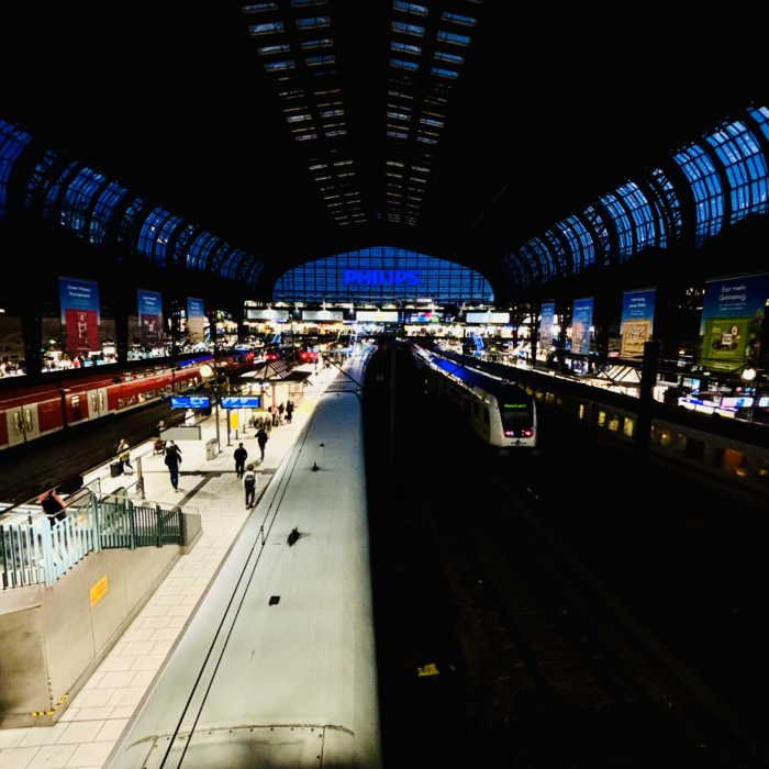 Die Halle des Hamburger Hauptbahnhofs am Abend