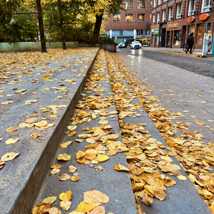 Herbstlaub in der Hamburger Innenstadt (Gertrudenkirchhof)