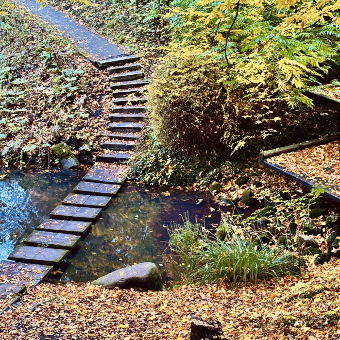 Gefallenes Hernstlaub im Park, ein Steg über einen Wasserlauf