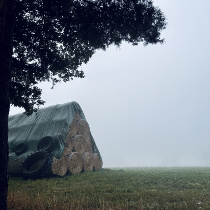 Ein Heudiemen im morgendlichen Nebel