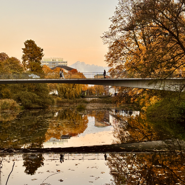 Eine Fußgängerbrücke in Planten un Blomen vor herbstlichen Bäumen