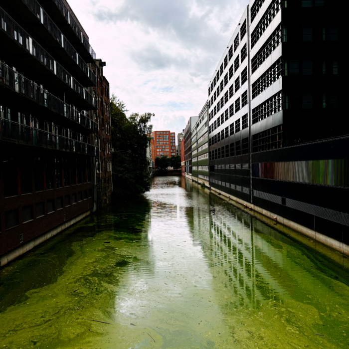 Dunkle Bürofasssaden am algengrünen Südkanal