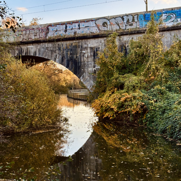 Eine Brücke über die Tarpenbek, Graffiti daran, Herbstlaub darunter