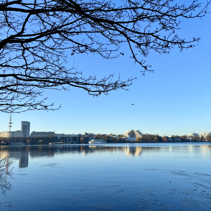 Die Außenalster, von der St.-Georg-Seite aus, blauer Himmel, kahle Zweige im Vordergrund