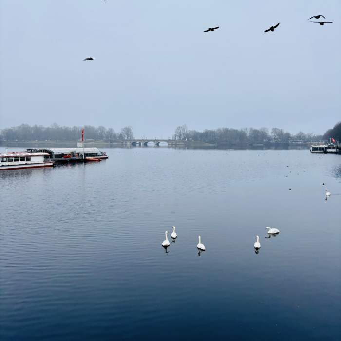 Vögel, Schiffe, Brücke, Graublau und alles