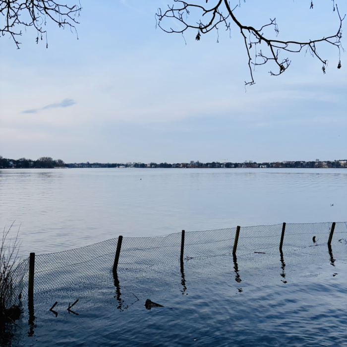 Anmerkungen zum Fleetblick